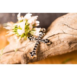 Windalf Alice Gothic Cross Pendant Black Crystal 925 Sterling Silver, Fabric, Cubic Zirconia