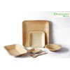 DISPOSABLE GREEN® | 20 X 20 CM Square Plates |