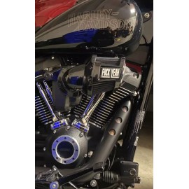 Chopper Custom Covers Harley heavy breather F YEAH air cleaner insert