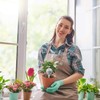 Maven Gifts Plant Watering Globes 4 Pack - Ø 5cm