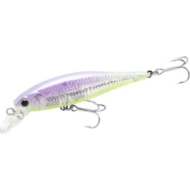 Lucky Craft Beefreeze 65SP Fishing Lure Minnow (2342 Real Purple Chart Wakasagi)