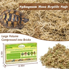 Halatool 6OZ Natural Sphagnum Moss for Reptiles Premium Reptile Moss Ideal Terrarium Moss for Box Turtles Hermit Crabs Leopard Gecko Snakes and Hamsters Enclosure