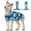 Kuoser Dog Recovery Suit, Easter Egg Dog Surgical Recovery Suit