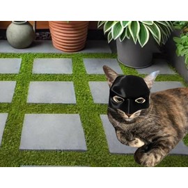 Cat Bat Cosplay Hat Cat Bat Mask Funny 3D Printed Bat Cat Mask Feline Cosplay Mask Comfortable Fit for Pets, Perfect for Photos, Dress-Up, Spooky Fun or Christmas Medium and Large Sizes (Medium)
