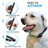 ECollar Replacement Strap - Compatible with Major Brands Including Petsafe,