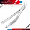 PRECISE CANADA: Dental EXTRACTING Forceps #151 PC