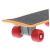 Sosoport Real Turtle Pet Toy Mini Skateboard Scooter for Bearded