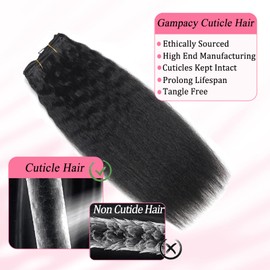 Clip in Hair Extensions Real Human Hair Clip ins Double Weft Kinky Straight Clip ins for Women 120g 8pcs Clip on Hair Extensions Human Hair (22 Inch)