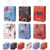 Tinoaly 24pcs Spider Party Favors Bags, 6 Styles Double Sided
