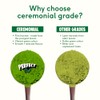 PerfectTed Blueberry Matcha Powder - Ceremonial Grade 75g