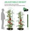 5ft 5-Pack Tomato Cage Support Green Garden Plant Sticks/Stakes for