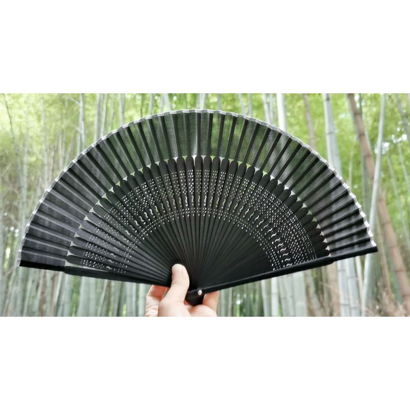 Aotake Kyodo 2019-600 Black Plain Folding Fan with Case, Black