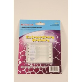 Extraordinary Ordinary Prepared Slide Set