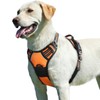 Eagloo Dog Harness No Pull, Walking Pet Harness with 2
