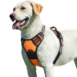 Eagloo Dog Harness No Pull, Walking Pet Harness with 2 Metal Rings and Handle, Adjustable Reflective Breathable Oxford Soft Easy Control Vest for Small Medium Large Dogs, Orange, L