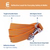 Blueberry Pet Essentials Reflective Better Basics Dog Leash, Apricot, 5