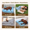 Pelsbarn Dog Cooling Mat- Ice Silk Summer Comfort, Self Cooling,