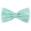 TigerTie Pre-tied Satin Bow Tie - Plain Colour + Gift