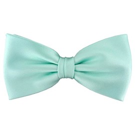 TigerTie Pre-tied Satin Bow Tie - Plain Colour + Gift Box, Light Mint Green