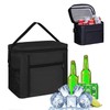Foldable Cool Bag, Picnic Bag, Thermal Bag, Small Insulated Bag,