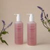 Labiotte Momentic Days Relaxing Body Oil Wash 300g / 라비오뜨