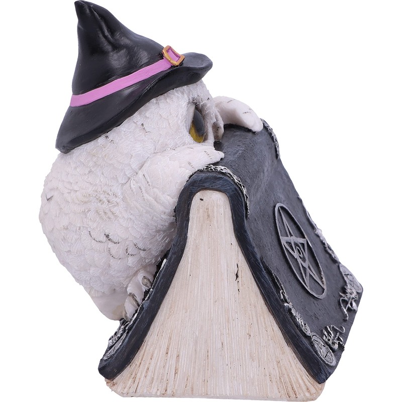 Nemesis Now Owl Magic 15cm Black