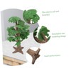 SEWACC Simulation Large Tree Tree Model Plastic Micro Landscape Green