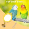Pet Bird Mirror with Bell Interactive Treat Puzzle Parrot Toy