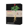 Chamdahan Classic Red Ginseng Extract Parents’ Gift 30 packets, 1