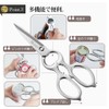 Pro Grade Made in Japan All-Stainless Scissors Detachable PG-411