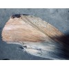 Ponderosa Pine Fatwood 2 lbs Sticks Better Than The Rest