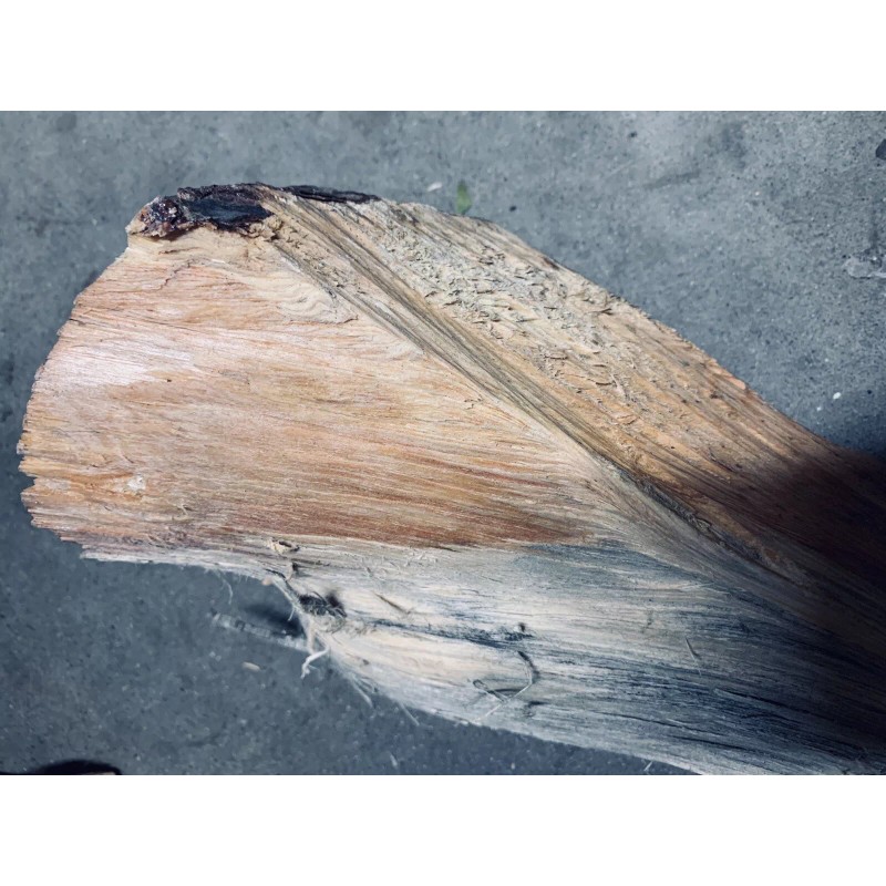 Ponderosa Pine Fatwood 2 lbs Sticks Better Than The Rest