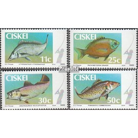 South Africa - Ciskei 70-73 (complete.issue.) unmounted mint/never hinged ** MNH 1985 Fish (Stamps for collectors) Water animals