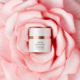 NEW Aroma Rose Auto Revival Cream 50ml Whitening Wrinkle Antioxidant Organic All-in-One Moisturizing Nutrition Cream / NEW아로마용 로즈오또 리바이벌크림 50ml 미백 주름 항산화 유기농 올인원 보습 영양크림