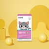 Rockfido Iron Kids 30 sachets, 3 packs / 락피도 철분
