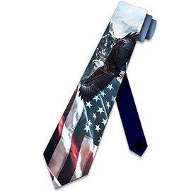 Three Rooker Patriotic Ties Mens Flag and Eagle Necktie USA Tie