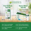 Osumex Heavy Metals Test Kit Regular Iron Test Kit- 1