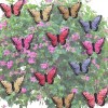 Banberry Designs Clip On Butterflies - Butterfly Clips with Feather