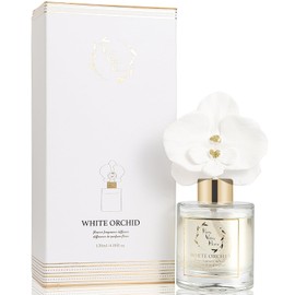 Reed Diffuser Set, Pretty Valley Home Diffuser Gypsum White Orchid Flower Oil 120Ml / 4.05fl OZ Gift Box for Bathroom Office Bathroom Living Room Decor, Long Lasting Fragrance (White Orchid)