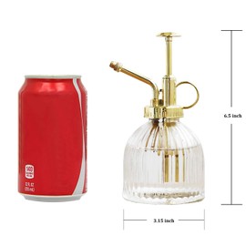 Ebristar Glass Plant Mister Spray Bottle, Vintage Plant Spritzer, Succulent Watering Bottle with Gold Top Pump, Decorative Plant Sprayer Mister Small Watering Can for Indoor Outdoor Plant - Clear