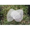 100 Pcs Bodhi Leaf Translucent Leaves Pho Bodhi Tree Veined