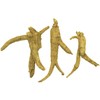 Vigorwell Premium 4-Year Bulk American Ginseng (1LB/454G/16OZ)-Directly from Canadian Ginseng