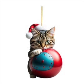 Cat Christmas Decorations Christmas Decoration Funny 2D Acrylic Christmas Tree Decoration Cat Funny Christmas Pendant Gift (R,One Size)