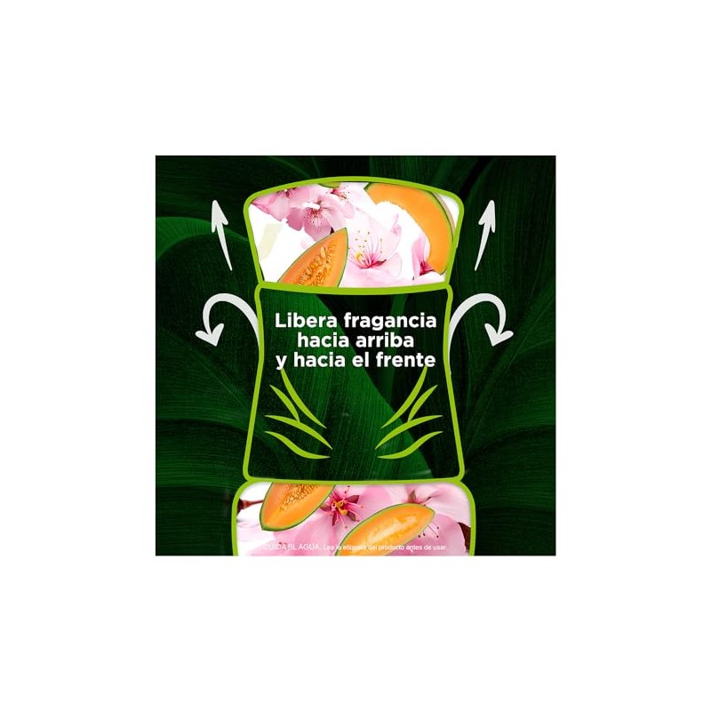 Air Wick 2 Repuestos de Aromatizante de Ambiente Continuo para