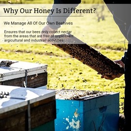 Tasmanian Honey Company Tasmanian | Christmas Bush | 350g | Unfiltered | Raw | Unheated | Hand-Crafted | Product of Australia | Iconic Metal Can |