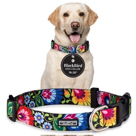 Lucky Love Dog - Adjustable Dog Collar with Easy Click Buckle for Large Ones, Durable, & Comfortable for Male & Female Dogs, Pet Collar for Puppies & Adult Dogs - Blackbird, Extra Large