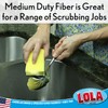 Lola Products Heavy Duty Dual Purpose Non-Scratch Scouring Sponge |