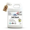 Rain Guard Water Sealers SP-1006 Salt Guard 1 Gallon- Clear