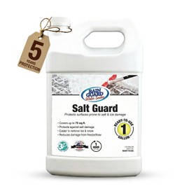 Rain Guard Water Sealers SP-1006 Salt Guard 1 Gallon- Clear Natural Finish - Penetrating Protection for Concrete and Masonry from Road Salt, Freeze Thaw, and Ice Damage - Water-Based Silane/Siloxane