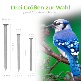 AMZoutdoor® 20 x Real Aluminium Nails for Nesting Boxes and Feeders, Tree-Friendly Nails, Aluminium Nails, Attachment for Bird Baths and Nesting Boxes (20, 80 mm)